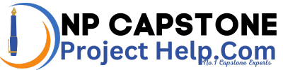 DNP Capstone Project Help logo